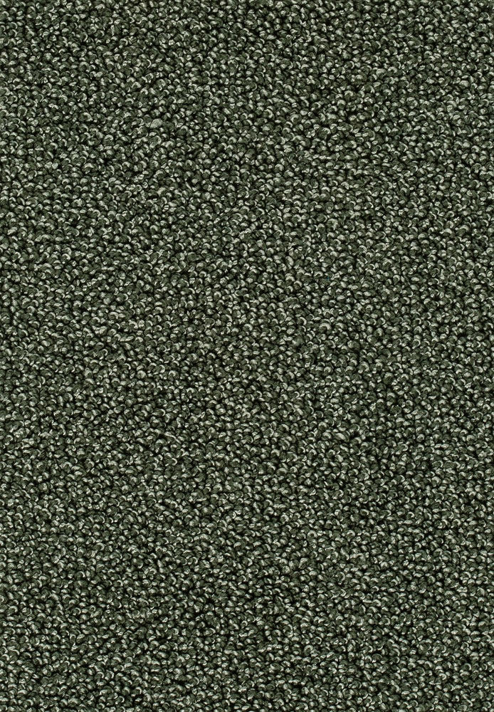 Corvella Teppichboden Farbe 24