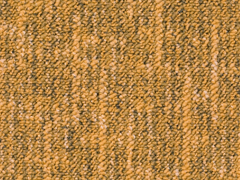 Altessa Teppichboden Farbe 22