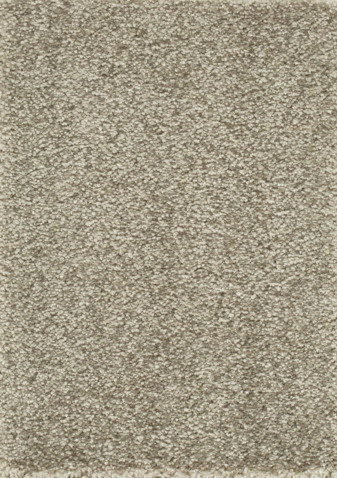 Palenza Teppichboden Farbe 49
