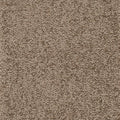 Taupe Dunkel