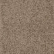 Taupe Dunkel