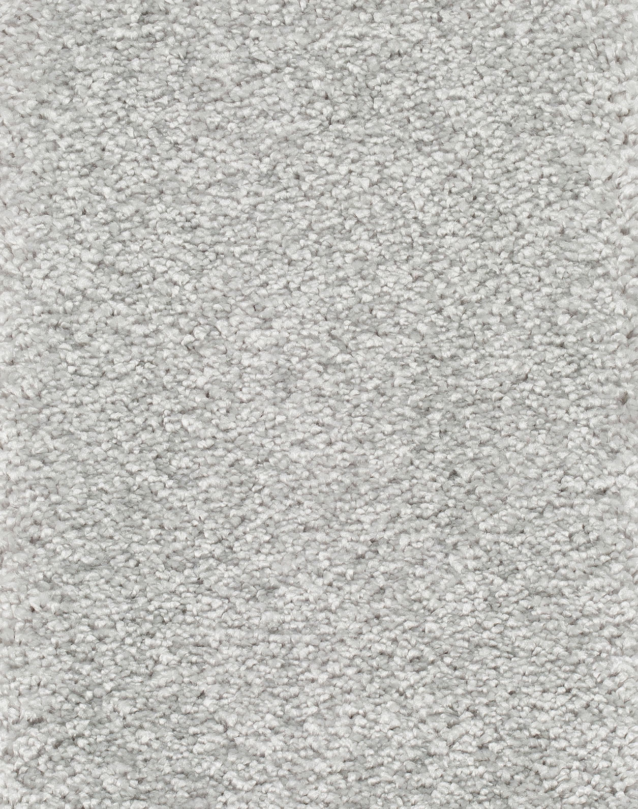 Reganza Teppichboden Farbe 95