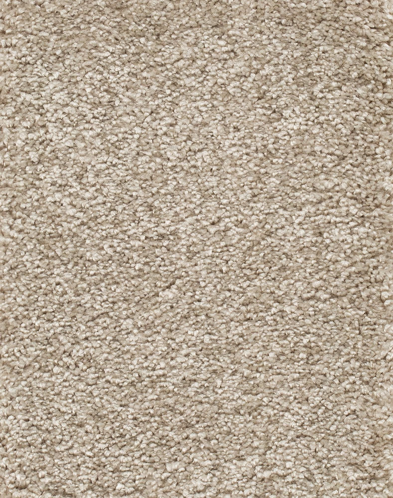 Reganza Teppichboden Farbe 34