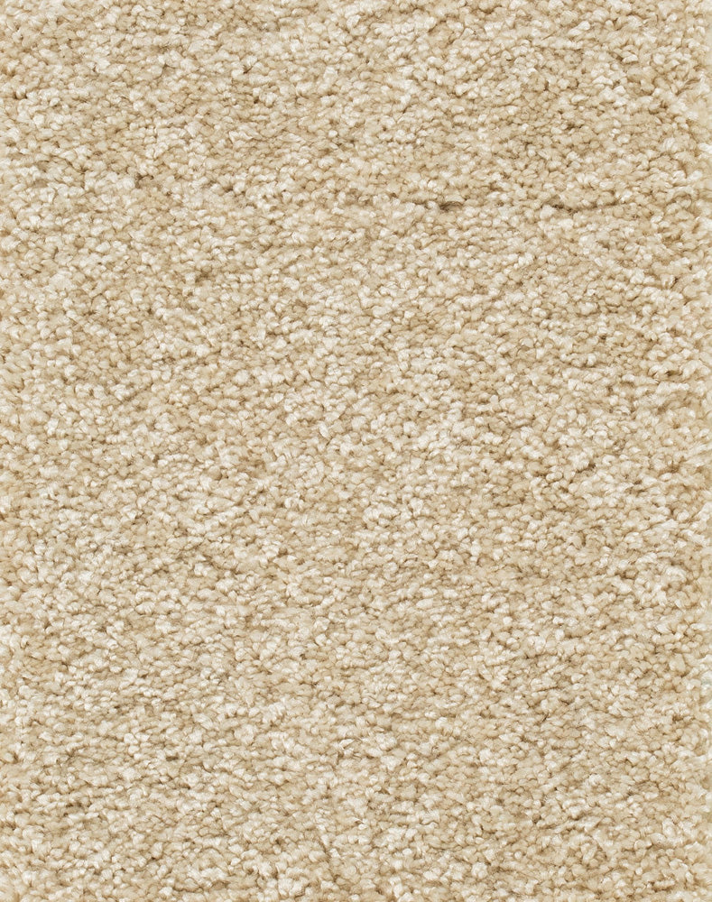 Reganza Teppichboden Farbe 33