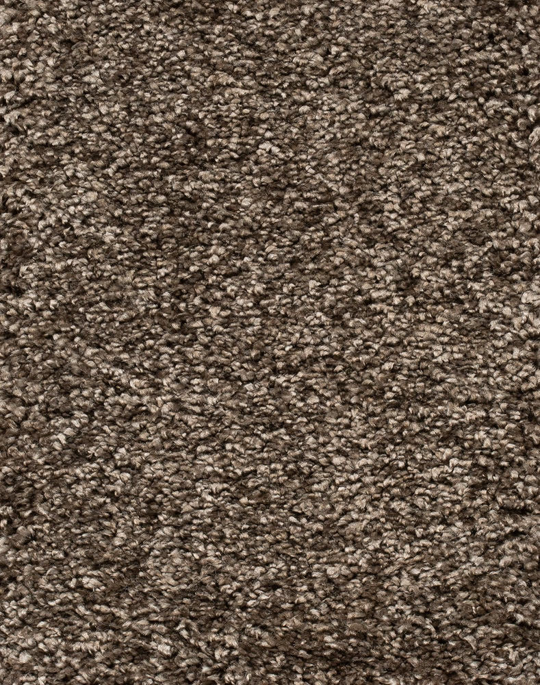 Reganza Teppichboden Farbe 141