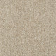 Beige Mittel Heller