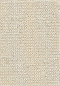 Farbe 31