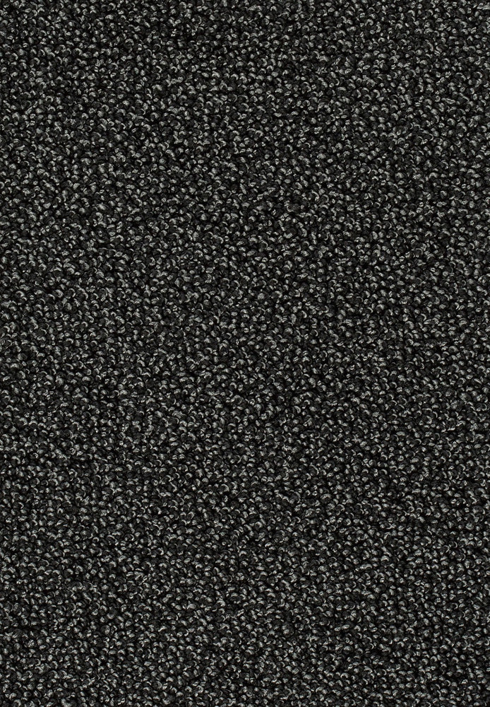 Corvella Teppichboden Farbe 99
