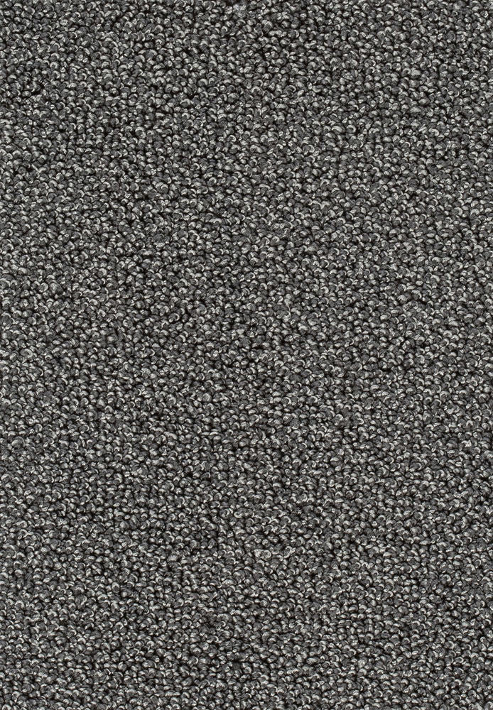 Corvella Teppichboden Farbe 97