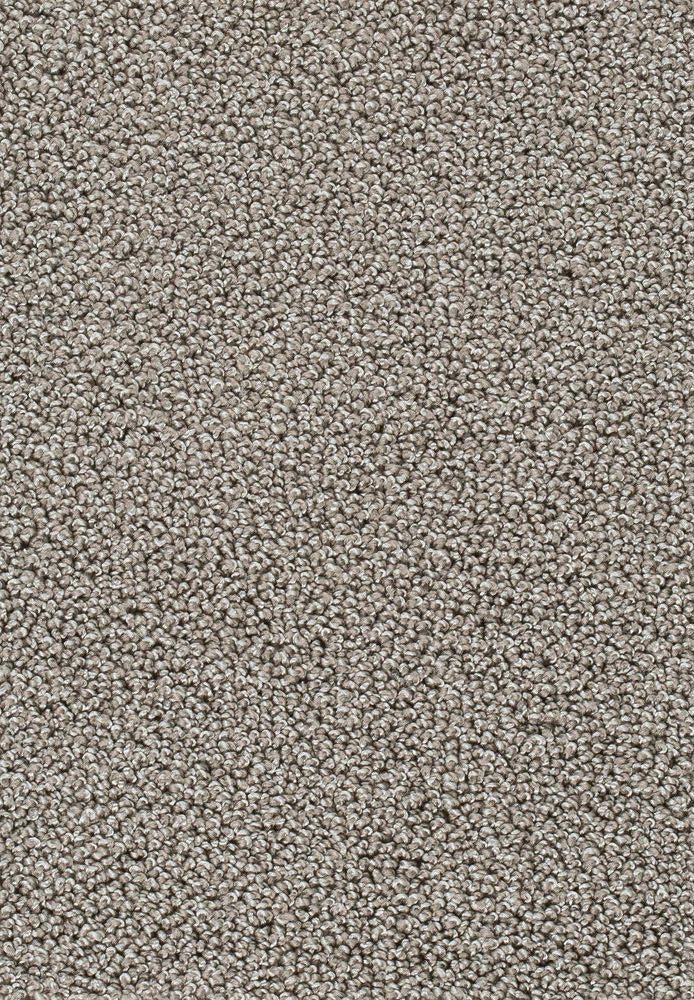 Corvella Teppichboden Farbe 93