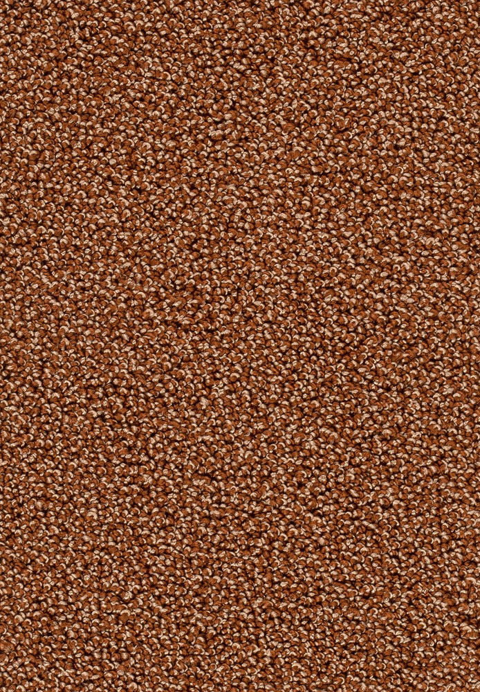 Corvella Teppichboden Farbe 85