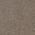Taupe Dunkel