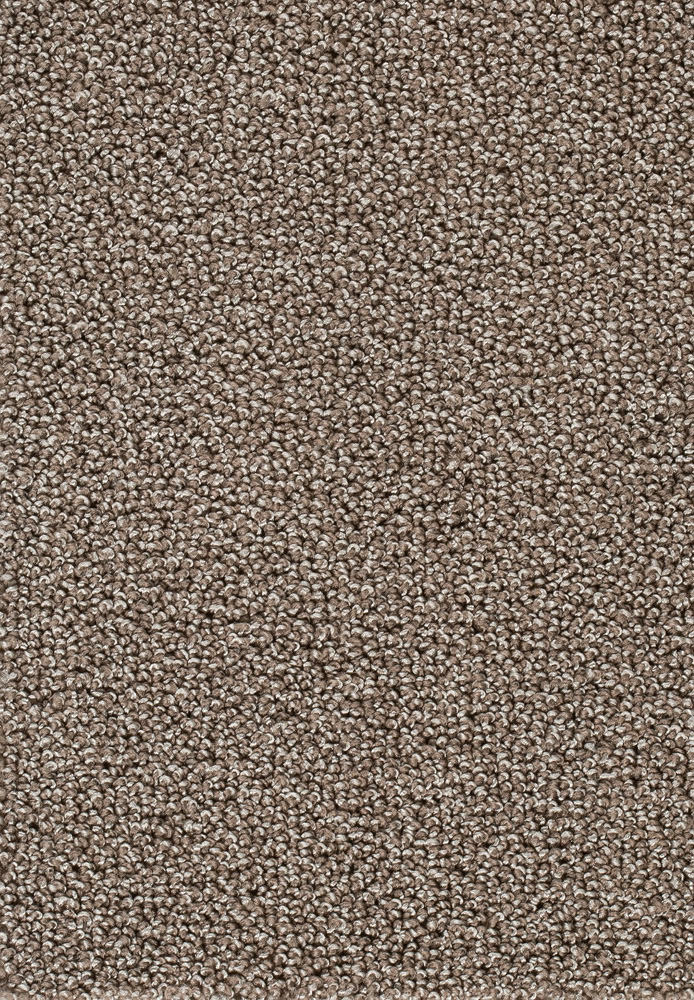 Corvella Teppichboden Farbe 49