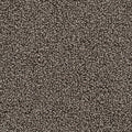 Taupe Tief