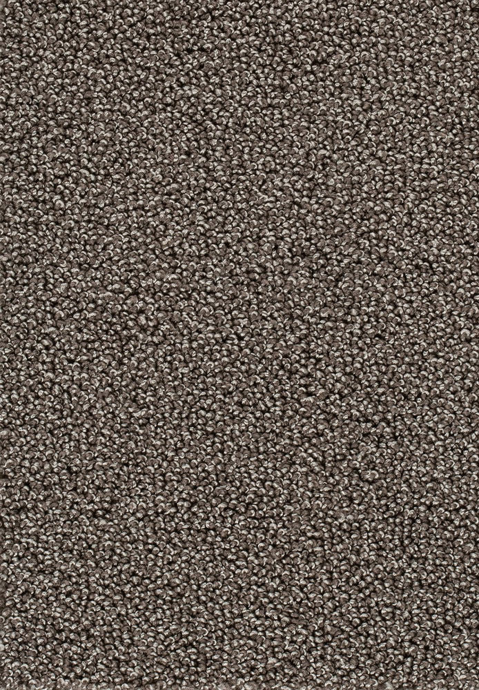 Corvella Teppichboden Farbe 48