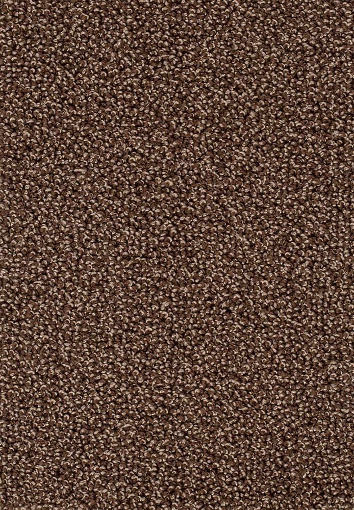 Corvella Teppichboden Farbe 45