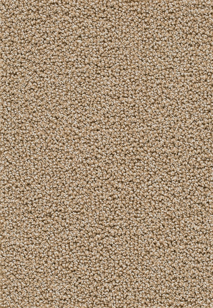 Corvella Teppichboden Farbe 34
