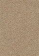 Beige Mittel Dunkler