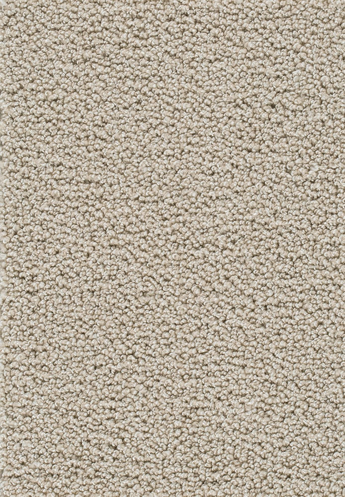 Corvella Teppichboden Farbe 30