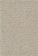 Beige Mittel Heller
