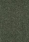Corvella Teppichboden Farbe 24