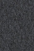 Kalvea Teppichboden Farbe 99