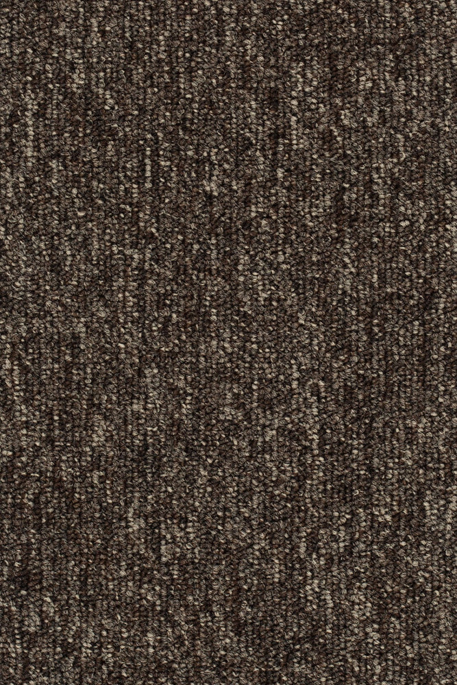 Kalvea Teppichboden Farbe 43