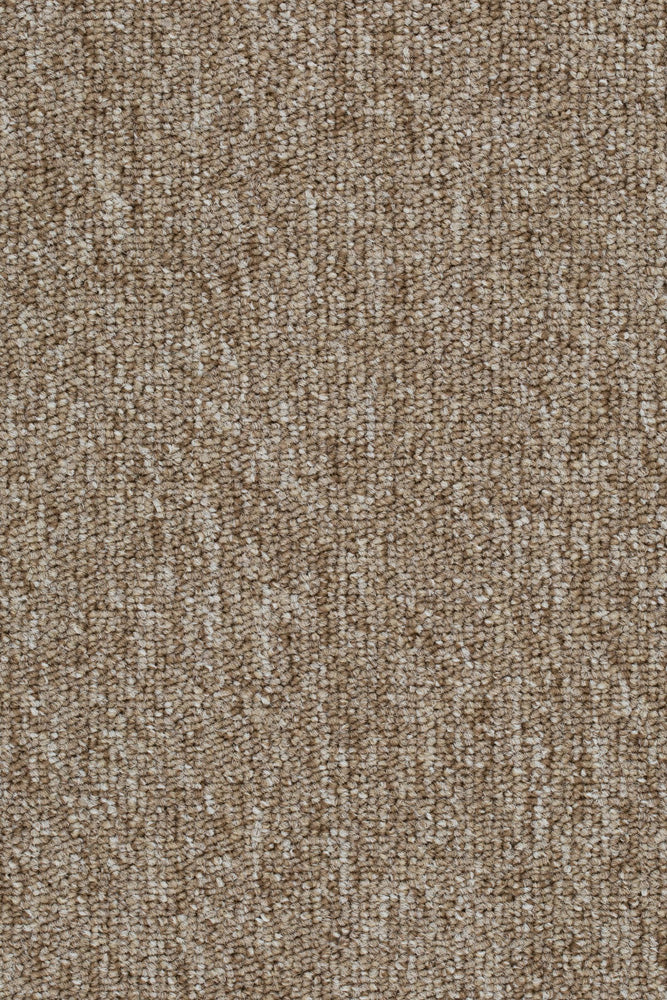 Kalvea Teppichboden Farbe 33