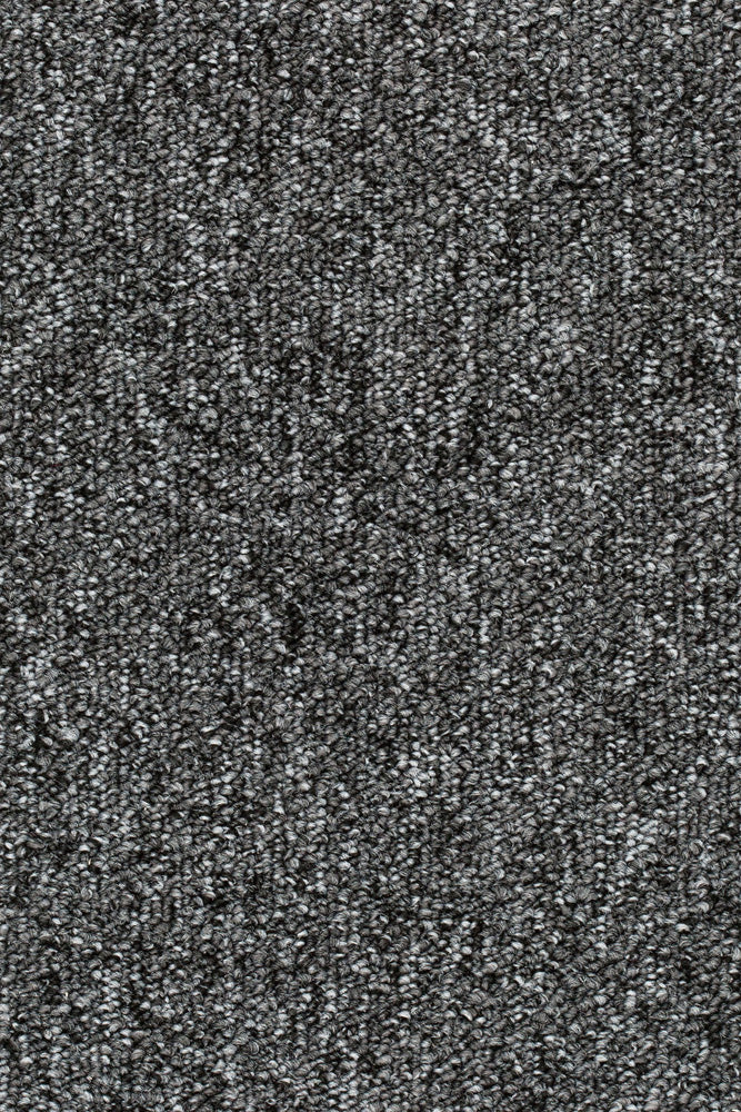 Solano Teppichboden Farbe 76
