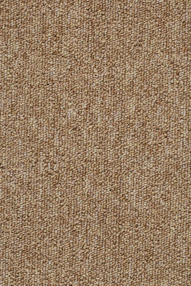 Solano Teppichboden Farbe 70