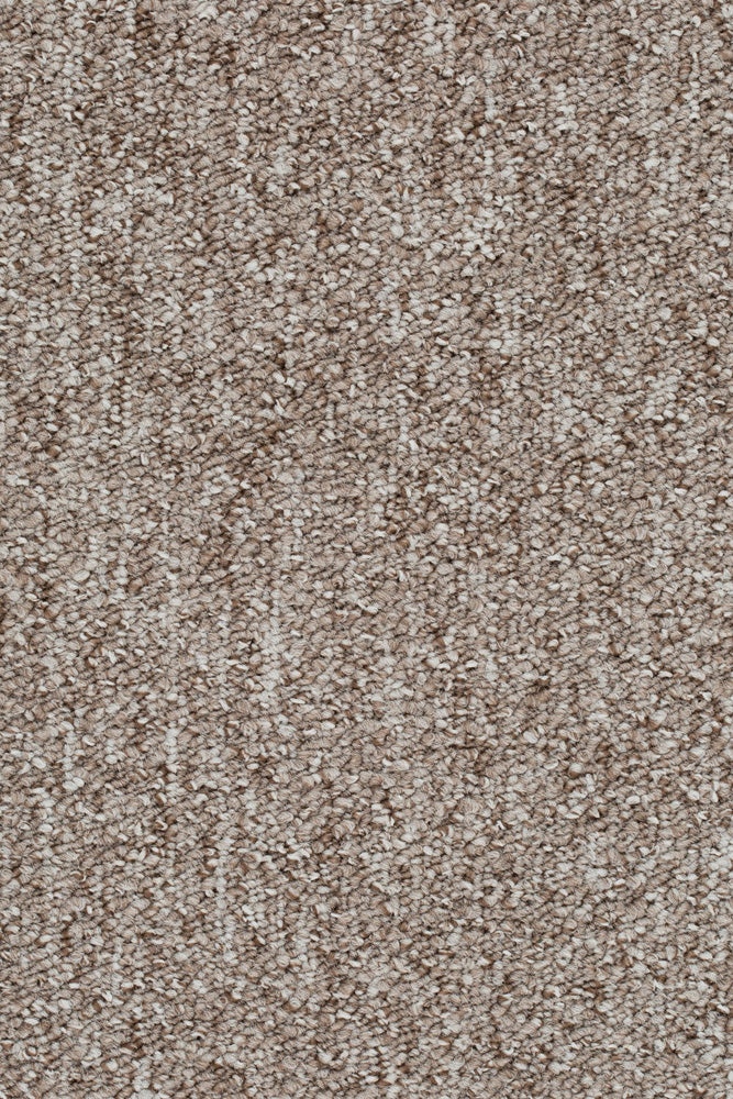 Solano Teppichboden Farbe 170