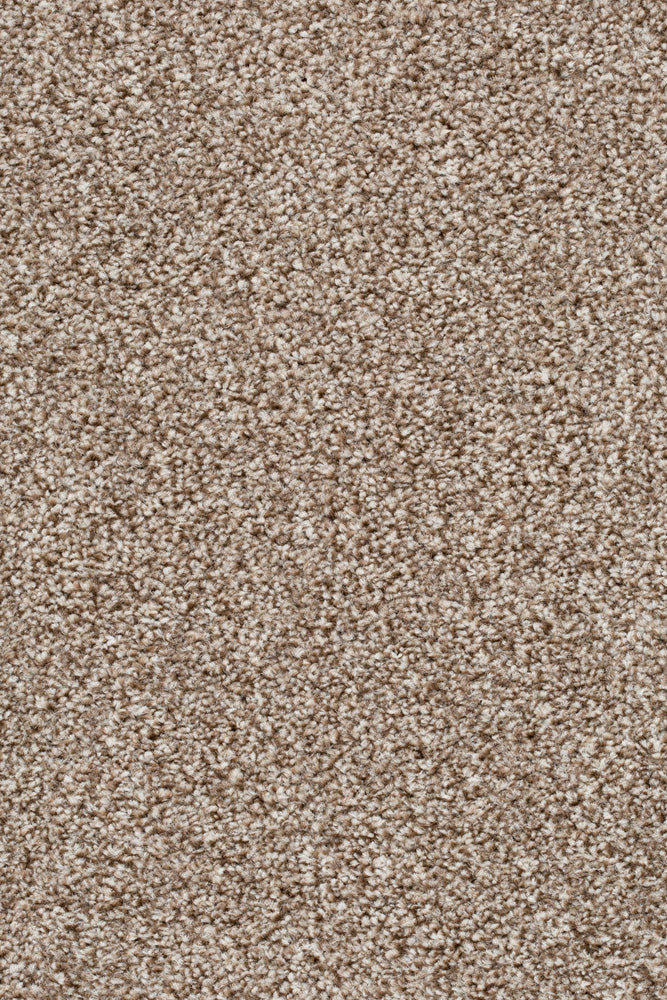 Palura Teppichboden Farbe 90