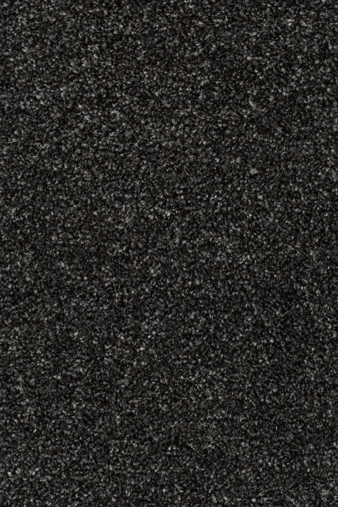 Palura Teppichboden Farbe 77