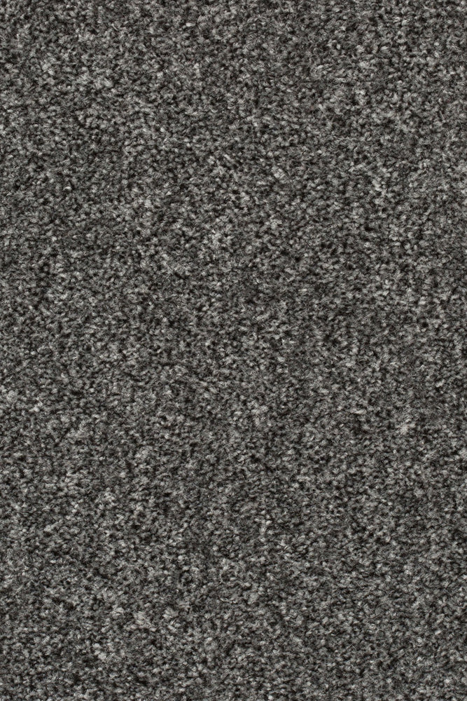 Palura Teppichboden Farbe 75