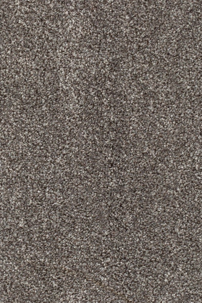 Palura Teppichboden Farbe 190