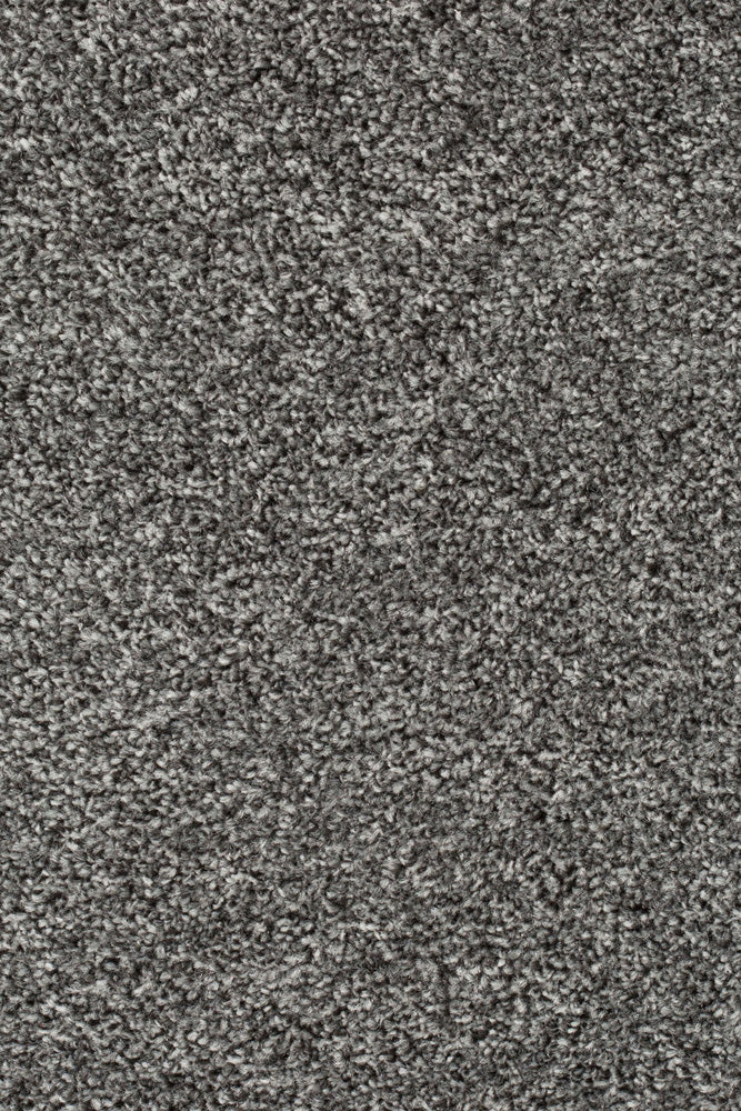 Palura Teppichboden Farbe 177