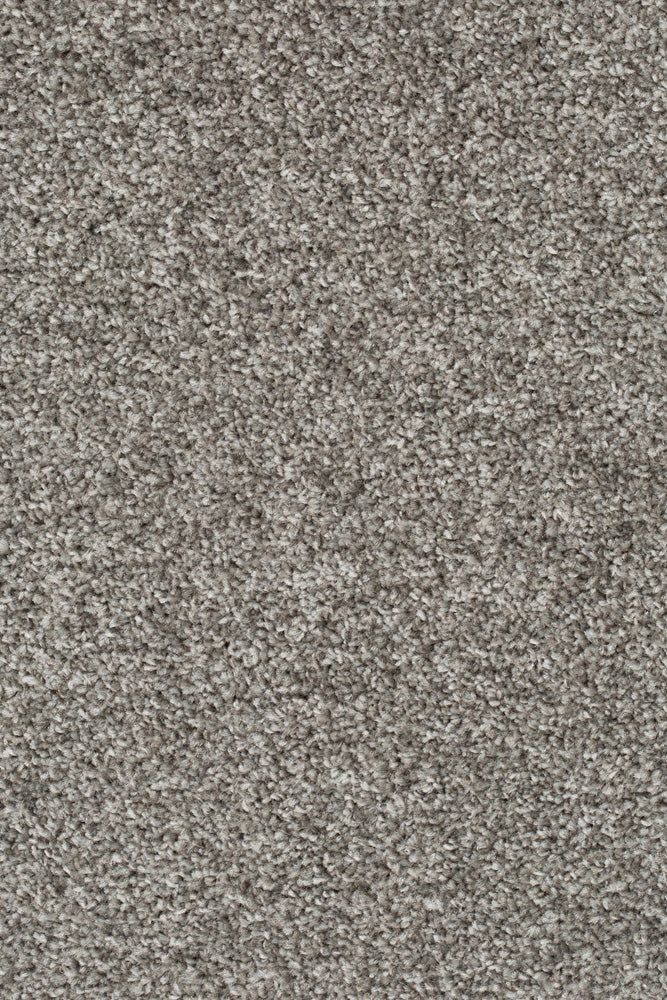 Palura Teppichboden Farbe 176