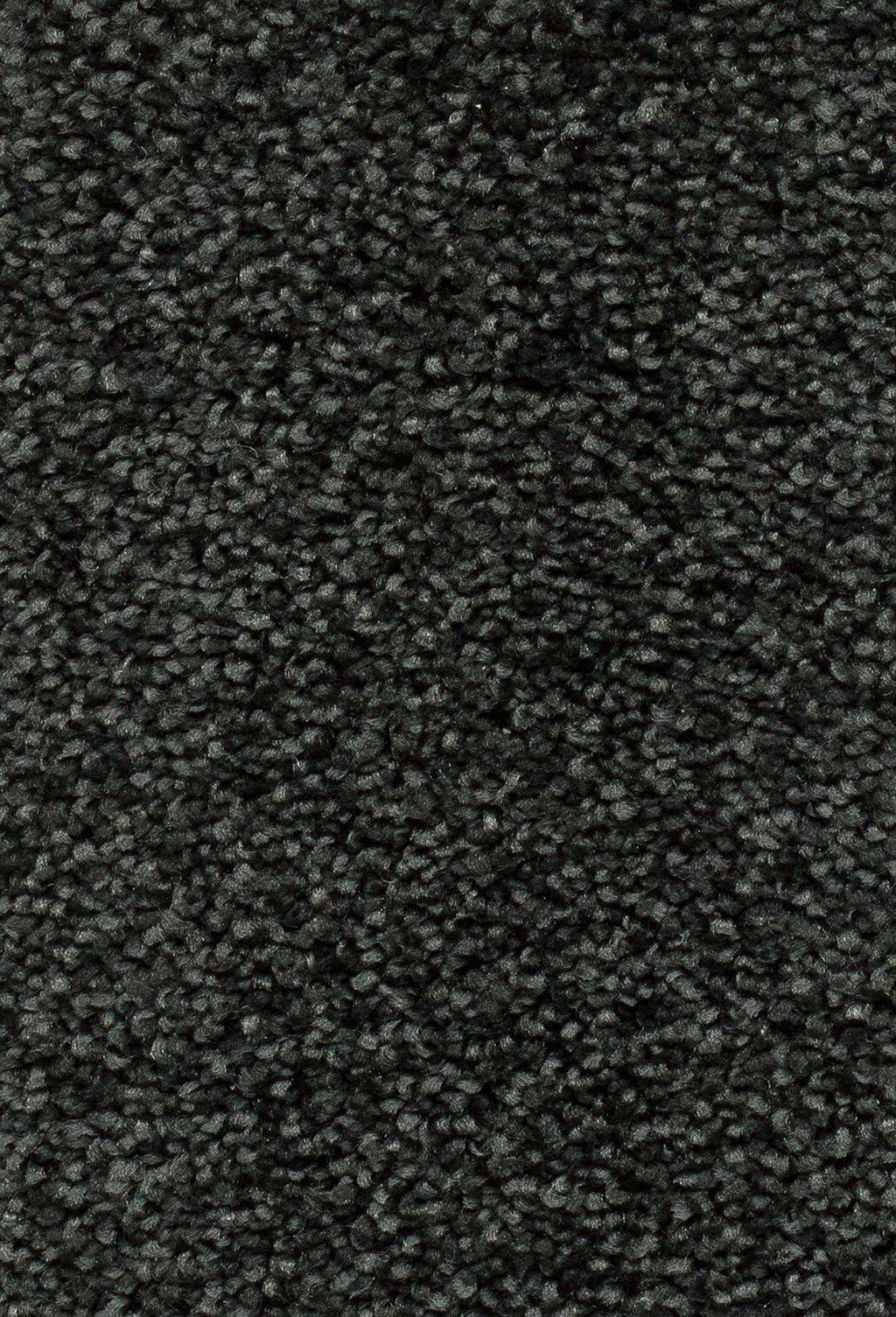 Serena Teppichboden Schwarz (079)