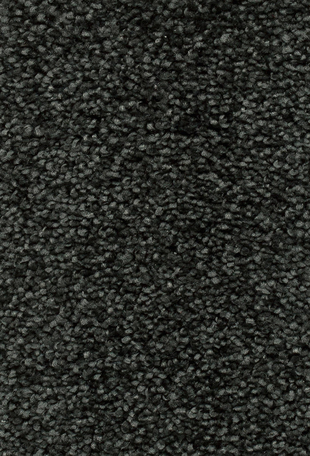 Verano Teppichboden Farbe 79