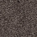 Taupe Tief