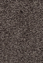 Serena Teppichboden Taupe Tief (077)