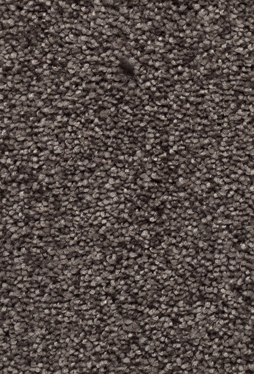 Verano Teppichboden Farbe 77