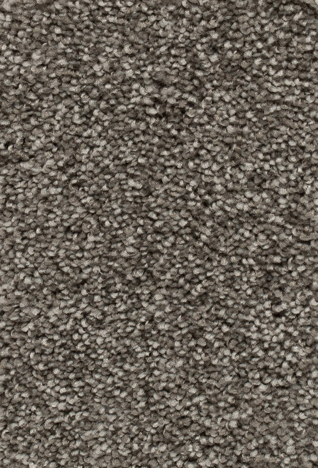 Verano Teppichboden Farbe 74