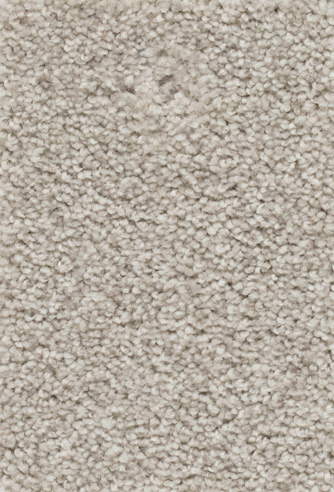 Verano Teppichboden Farbe 71