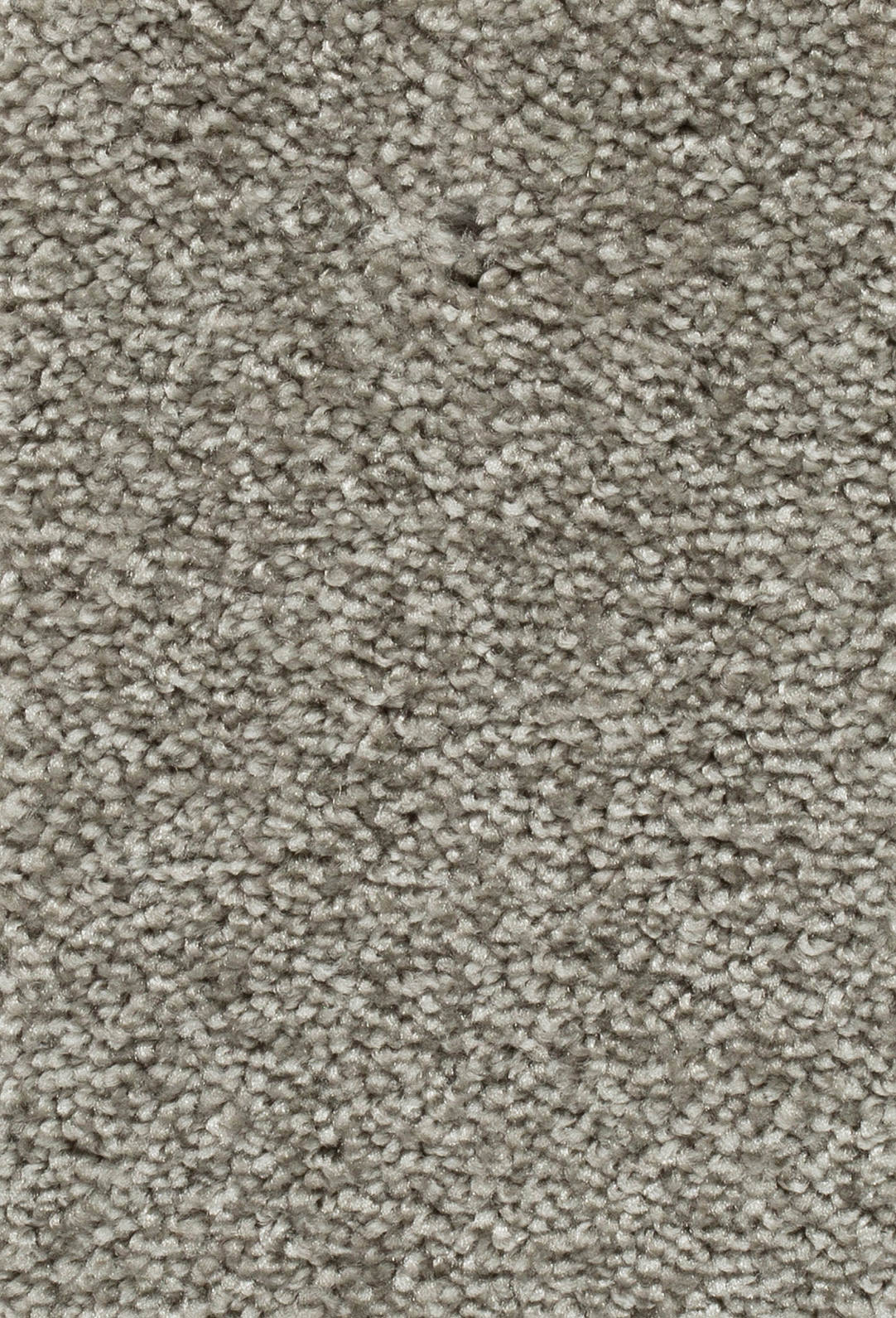 Verano Teppichboden Farbe 68