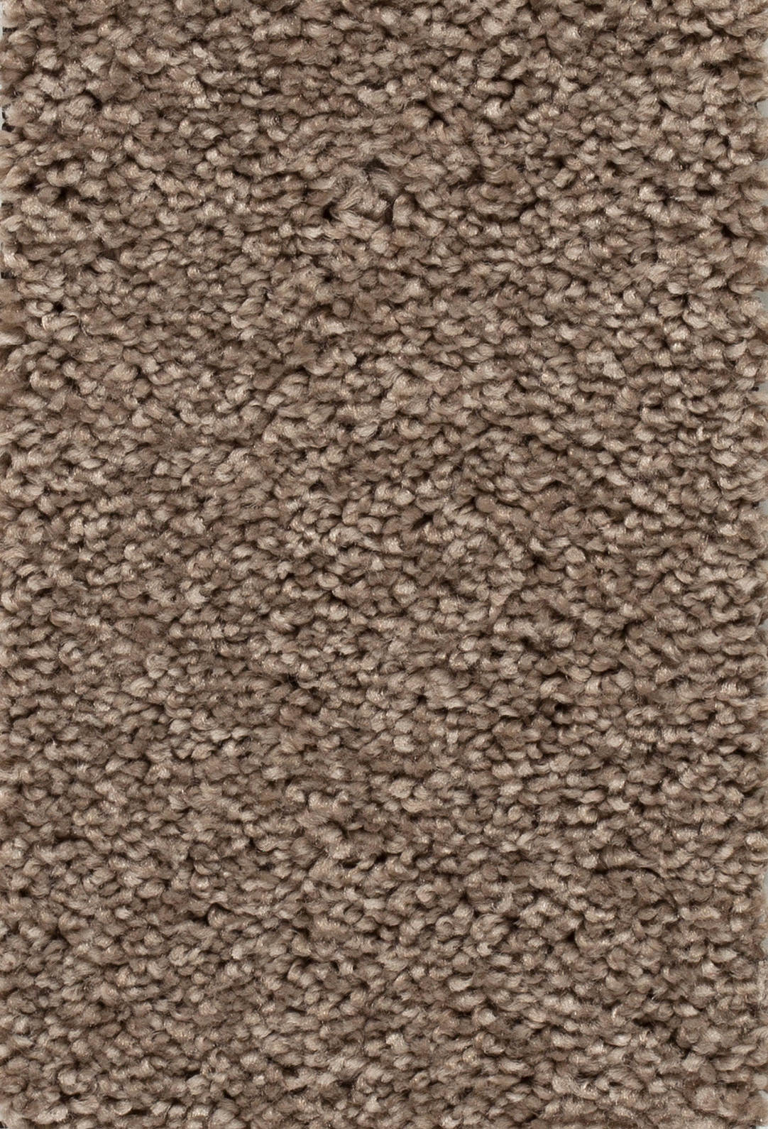 Verano Teppichboden Farbe 65