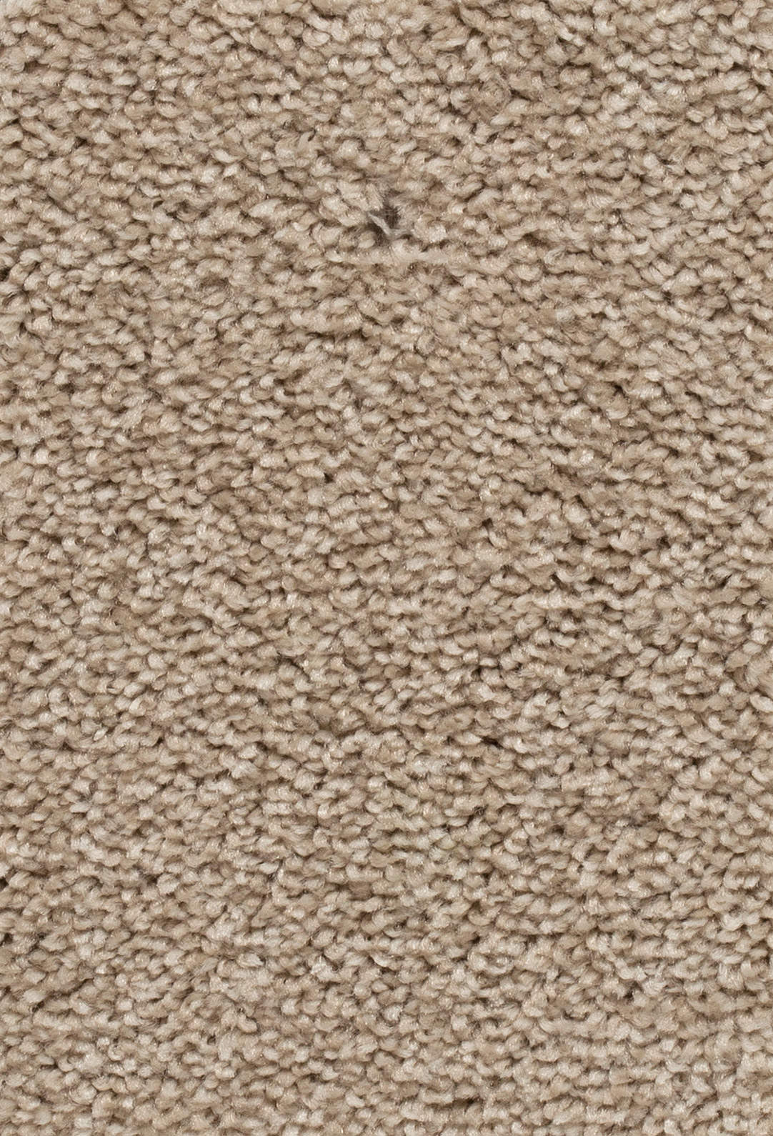Verano Teppichboden Farbe 62