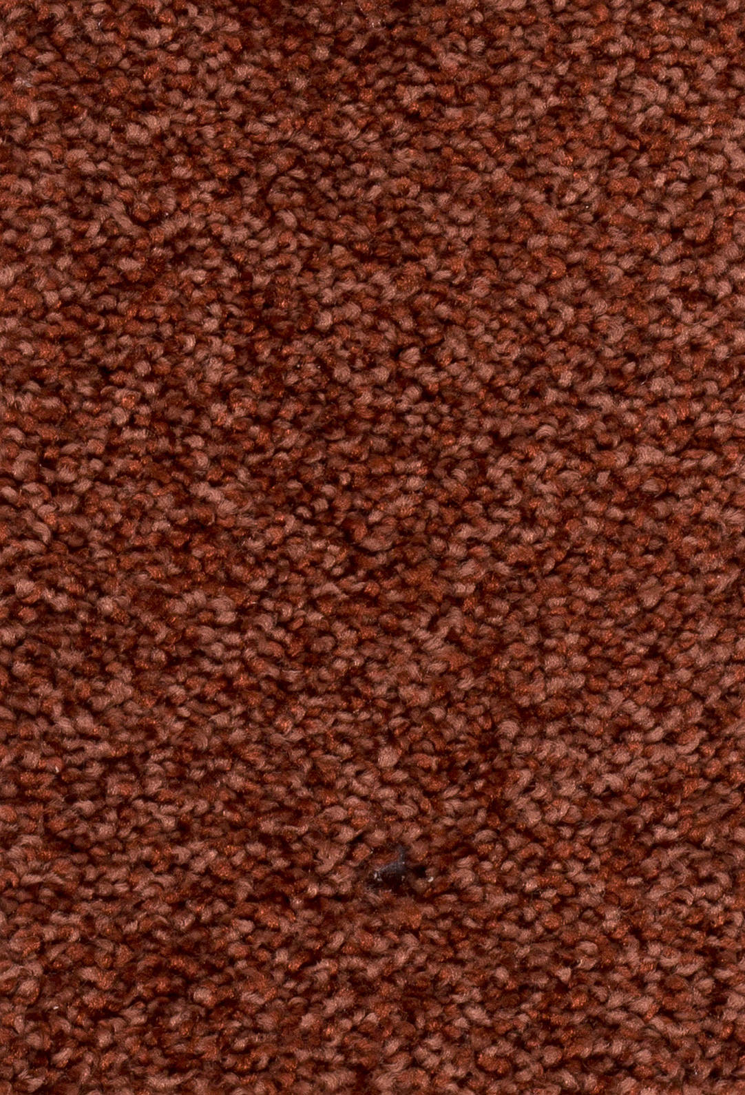 Verano Teppichboden Farbe 35