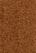Farbe 31