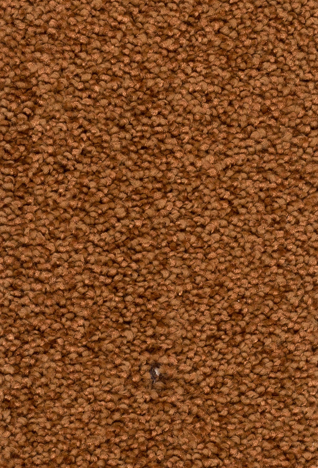 Verano Teppichboden Farbe 31